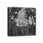 Patagonia Forest, Nahuel Huapi National Park, Rio Negro, Argentina Mini Canvas 4  x 4  (Stretched)