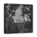 Patagonia Forest, Nahuel Huapi National Park, Rio Negro, Argentina Mini Canvas 8  x 8  (Stretched)