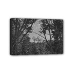 Patagonia Forest, Nahuel Huapi National Park, Rio Negro, Argentina Mini Canvas 6  x 4  (Stretched)