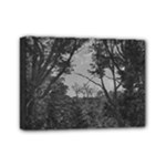 Patagonia Forest, Nahuel Huapi National Park, Rio Negro, Argentina Mini Canvas 7  x 5  (Stretched)