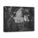 Patagonia Forest, Nahuel Huapi National Park, Rio Negro, Argentina Canvas 10  x 8  (Stretched)