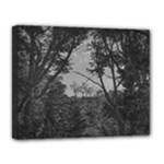 Patagonia Forest, Nahuel Huapi National Park, Rio Negro, Argentina Canvas 14  x 11  (Stretched)