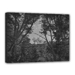 Patagonia Forest, Nahuel Huapi National Park, Rio Negro, Argentina Canvas 16  x 12  (Stretched)