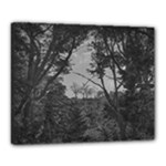 Patagonia Forest, Nahuel Huapi National Park, Rio Negro, Argentina Canvas 20  x 16  (Stretched)