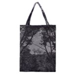 Patagonia Forest, Nahuel Huapi National Park, Rio Negro, Argentina Classic Tote Bag