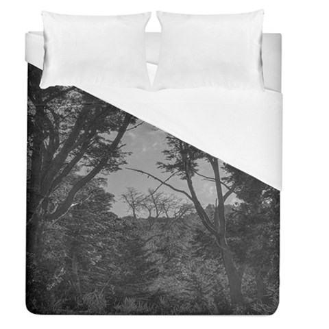 Patagonia Forest, Nahuel Huapi National Park, Rio Negro, Argentina Duvet Cover (Queen Size) from ArtsNow.com