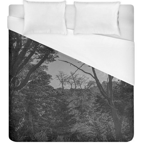 Patagonia Forest, Nahuel Huapi National Park, Rio Negro, Argentina Duvet Cover (King Size) from ArtsNow.com