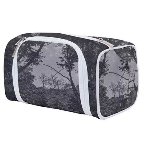 Patagonia Forest, Nahuel Huapi National Park, Rio Negro, Argentina Toiletries Pouch from ArtsNow.com