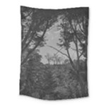 Patagonia Forest, Nahuel Huapi National Park, Rio Negro, Argentina Medium Tapestry