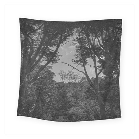 Patagonia Forest, Nahuel Huapi National Park, Rio Negro, Argentina Square Tapestry (Small) from ArtsNow.com