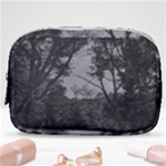 Patagonia Forest, Nahuel Huapi National Park, Rio Negro, Argentina Make Up Pouch (Small)