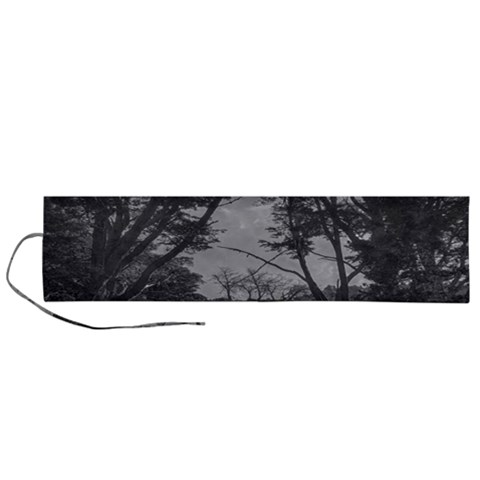 Patagonia Forest, Nahuel Huapi National Park, Rio Negro, Argentina Roll Up Canvas Pencil Holder (L) from ArtsNow.com