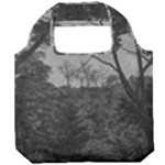 Patagonia Forest, Nahuel Huapi National Park, Rio Negro, Argentina Foldable Grocery Recycle Bag