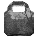 Patagonia Forest, Nahuel Huapi National Park, Rio Negro, Argentina Premium Foldable Grocery Recycle Bag