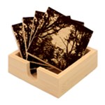 Patagonia Forest, Nahuel Huapi National Park, Rio Negro, Argentina Bamboo Coaster Set