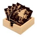 Bamboo Coaster Set 