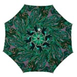 Malachite  Automatic Folding Umbrella with Case (Medium)