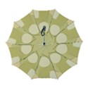 Automatic Folding Umbrella with Case (Large) 