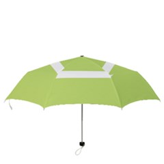 Folding Umbrella 