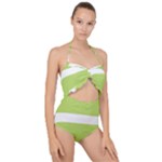 A Minimalist Pattern With Simple Lines And Shapes, Creating A Clean And Modern Aesthetic 02 Scallop Top Cut Out Swimsuit