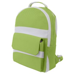 Flap Pocket Backpack (Small) 