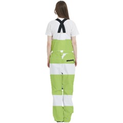 Women s Front Zip Ski And Snowboard Bib Pants 