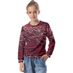 River Roots Kids  Long Sleeve T-Shirt with Frill 