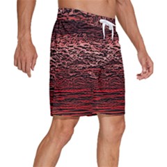 Men s Beach Shorts 