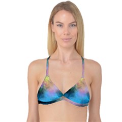 Reversible Tri Bikini Top 