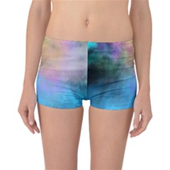 Reversible Boyleg Bikini Bottoms Inside Front