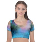 Smokescreen Velvet Short Sleeve Crop Top 