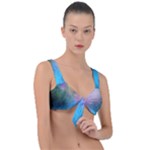 Smokescreen Front Tie Bikini Top