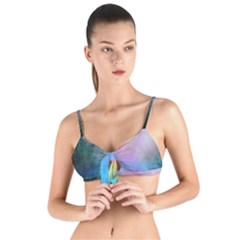 Tie Up Cut Bikini Top 