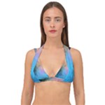 Smokescreen Double Strap Halter Bikini Top