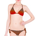 Crimson Skys Classic Bikini Set