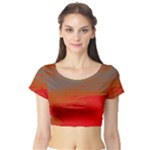 Crimson Skys Short Sleeve Crop Top