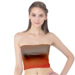 Crimson Skys Tube Top