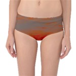 Crimson Skys Mid-Waist Bikini Bottoms