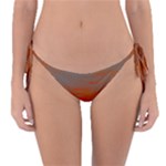 Crimson Skys Reversible Bikini Bottoms