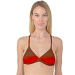 Crimson Skys Reversible Tri Bikini Top