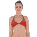 Crimson Skys Halter Neck Bikini Top