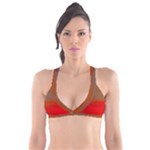 Crimson Skys Plunge Bikini Top