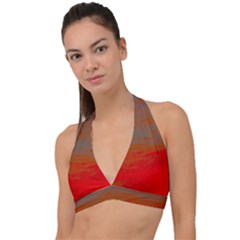 Halter Plunge Bikini Top 