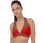 Crimson Skys Halter Plunge Bikini Top