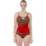 Crimson Skys Cut Out Top Tankini Set