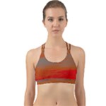 Crimson Skys Back Web Sports Bra