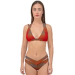 Crimson Skys Double Strap Halter Bikini Set