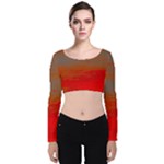 Crimson Skys Velvet Long Sleeve Crop Top