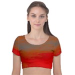 Crimson Skys Velvet Short Sleeve Crop Top 