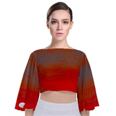 Tie Back Butterfly Sleeve Chiffon Top 